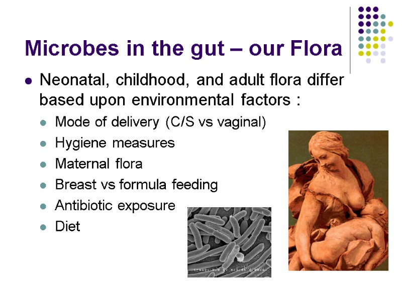 Microbes in the gut – our Flora  Neonatal, childhood, and adult flora differ